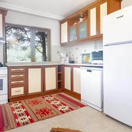 Villa Remarkable Close To With Pool In Sile *